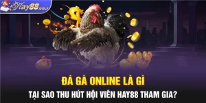 Đá Gà Online Là Gì, Tại Sao Thu Hút Hội Viên Hay88 Tham Gia?