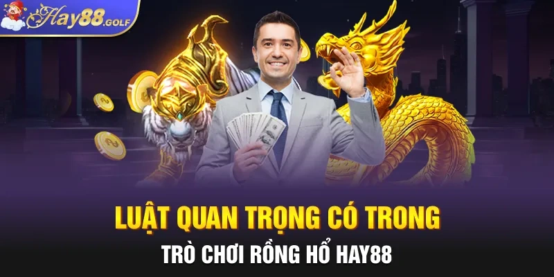 Luật quan trọng có trong trò chơi Rồng Hổ Hay88