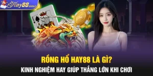 Rồng Hổ Hay88 Là Gì? Kinh Nghiệm Hay Giúp Thắng Lớn Khi Chơi