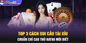 Top 3 Cách Soi Cầu Tài Xỉu Chuẩn Chỉ Cao Thủ Hay88 Mới Biết