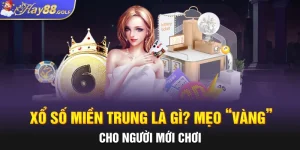 Xổ Số Miền Trung Là Gì? Mẹo “Vàng” Cho Người Mới Chơi